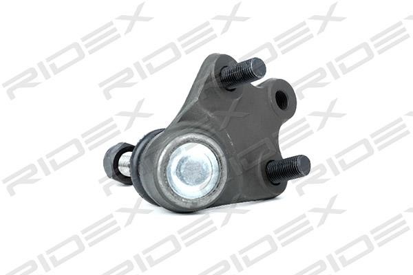 Ridex 2462S0204 Ball joint 2462S0204: Buy near me in Poland at 2407.PL - Good price!