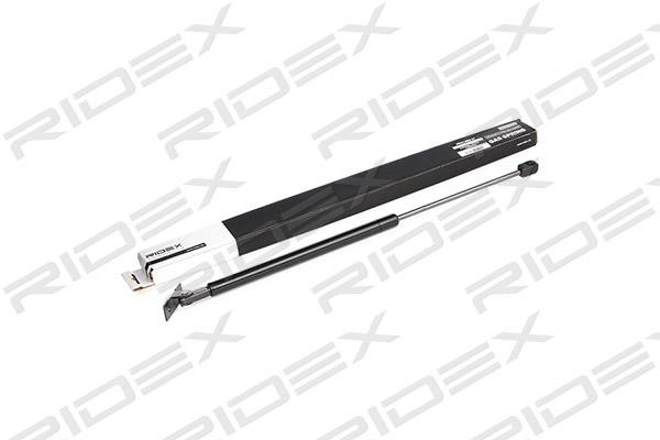 Ridex 514G0010 Gas hood spring 514G0010: Buy near me at 2407.PL in Poland at an Affordable price!