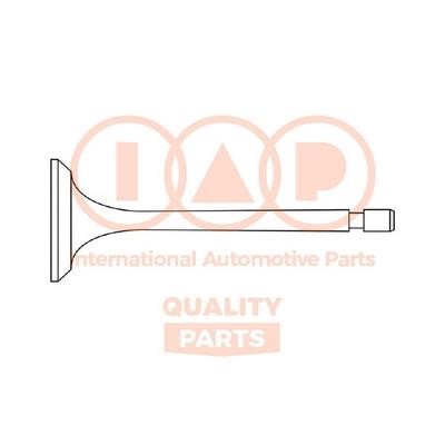 IAP 110-14032 Intake valve 11014032: Buy near me in Poland at 2407.PL - Good price!