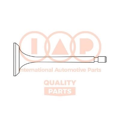 IAP 110-07085 Intake valve 11007085: Buy near me in Poland at 2407.PL - Good price!