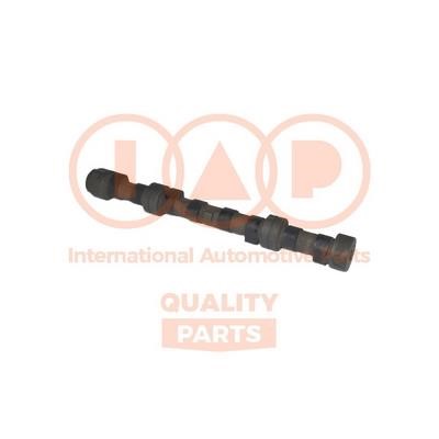 IAP 124-13051 Camshaft 12413051: Buy near me in Poland at 2407.PL - Good price!