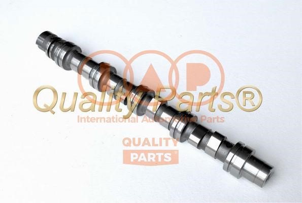 IAP 124-20062G Camshaft 12420062G: Buy near me in Poland at 2407.PL - Good price!