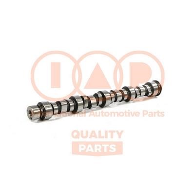 IAP 124-24010 Camshaft 12424010: Buy near me in Poland at 2407.PL - Good price!