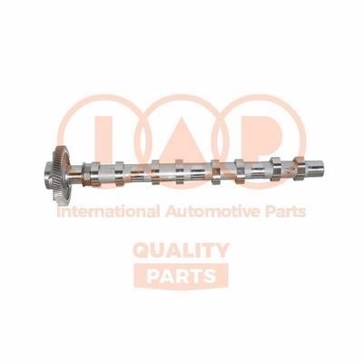 IAP 124-07001G Camshaft 12407001G: Buy near me in Poland at 2407.PL - Good price!