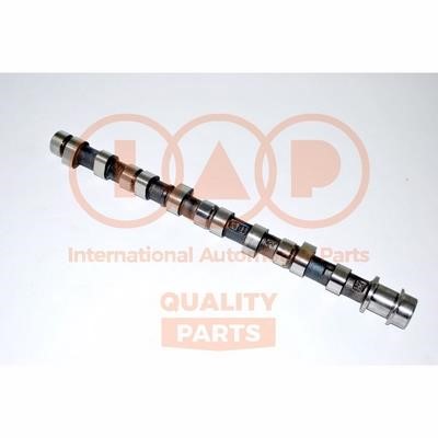 IAP 124-07080E Camshaft 12407080E: Buy near me in Poland at 2407.PL - Good price!