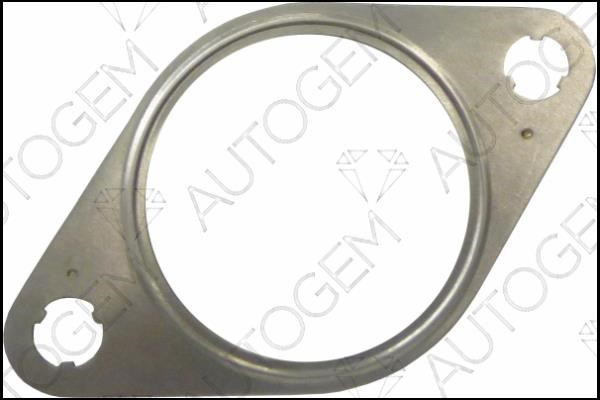 AutoGem CEG5630 Seal, EGR valve CEG5630: Buy near me in Poland at 2407.PL - Good price!