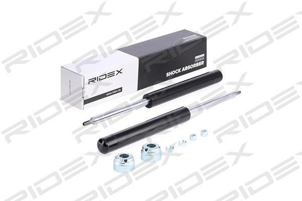Ridex 854S1736 Front oil and gas suspension shock absorber 854S1736: Buy near me in Poland at 2407.PL - Good price!