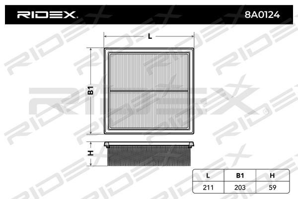 Ridex 8A0124 Filtr powietrza 8A0124: Dobra cena w Polsce na 2407.PL - Kup Teraz!