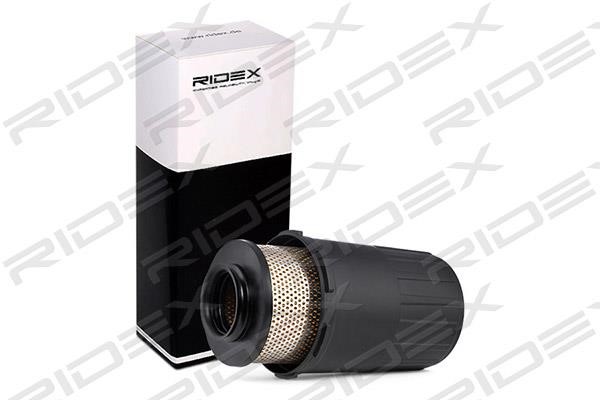 Ridex 8A0487 Air filter 8A0487: Buy near me in Poland at 2407.PL - Good price!