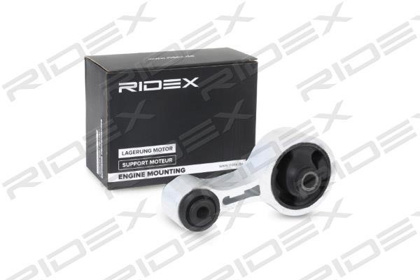 Ridex 247E0301 Engine mount 247E0301: Buy near me in Poland at 2407.PL - Good price!
