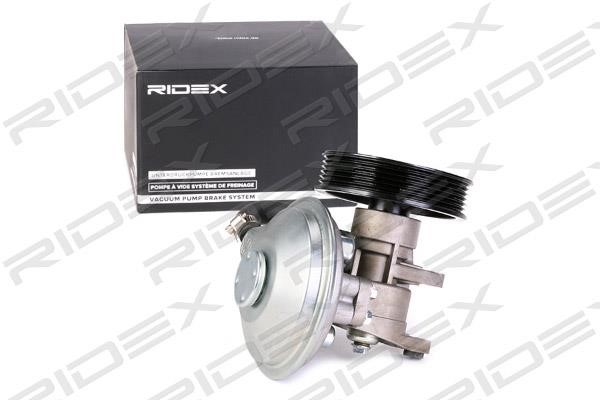 Ridex 387V0020 Vacuum pump 387V0020: Buy near me in Poland at 2407.PL - Good price!
