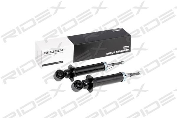 Ridex 854S1794 Rear oil and gas suspension shock absorber 854S1794: Buy near me in Poland at 2407.PL - Good price!