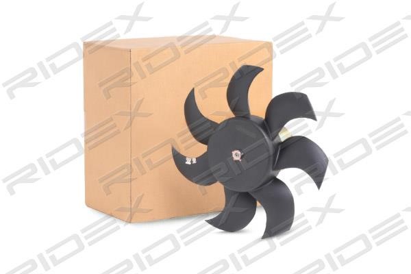 Ridex 508R0141 Hub, engine cooling fan wheel 508R0141: Buy near me in Poland at 2407.PL - Good price!