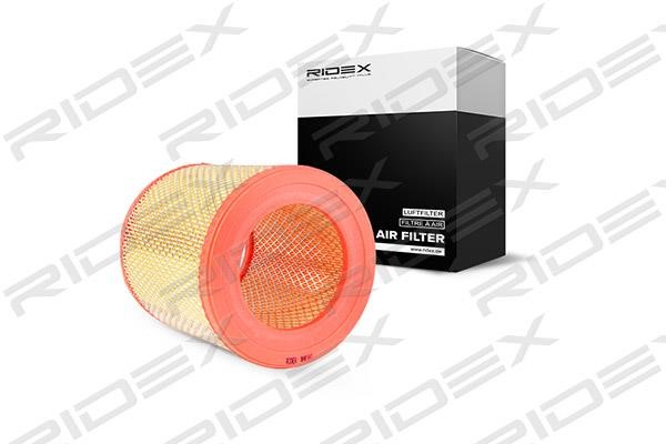Ridex 8A0141 Air filter 8A0141: Buy near me in Poland at 2407.PL - Good price!