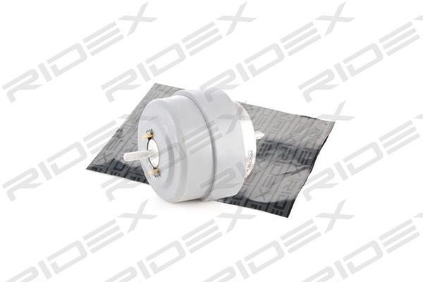 Ridex 247E0071 Engine mount 247E0071: Buy near me at 2407.PL in Poland at an Affordable price!