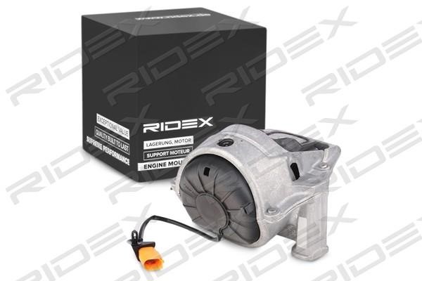 Ridex 247E0231 Подушка двигателя 247E0231: Отличная цена - Купить в Польше на 2407.PL!