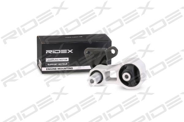 Ridex 247E0100 Engine mount 247E0100: Buy near me in Poland at 2407.PL - Good price!