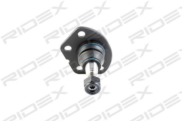 Ridex 2462S0099 Ball joint 2462S0099: Buy near me in Poland at 2407.PL - Good price!
