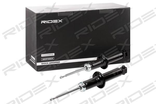 Ridex 854S1641 Amortyzator gazowo-olejowy tylny 854S1641: Dobra cena w Polsce na 2407.PL - Kup Teraz!