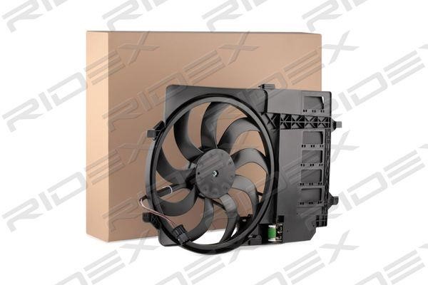 Ridex 508R0095 Hub, engine cooling fan wheel 508R0095: Buy near me in Poland at 2407.PL - Good price!