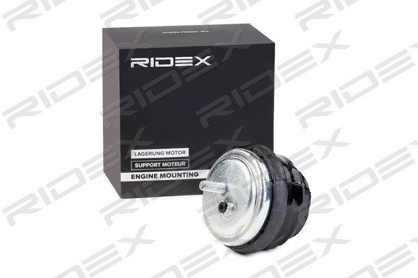Ridex 247E0124 Poduszka silnika 247E0124: Dobra cena w Polsce na 2407.PL - Kup Teraz!