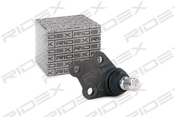 Ridex 2462S0076 Ball joint 2462S0076: Buy near me in Poland at 2407.PL - Good price!