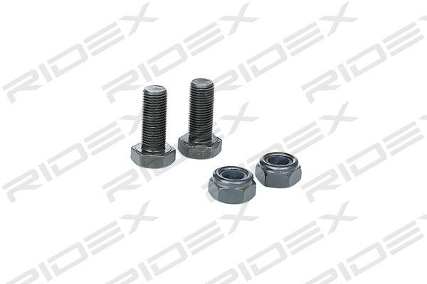 Ridex 2462S0077 Ball joint 2462S0077: Buy near me in Poland at 2407.PL - Good price!