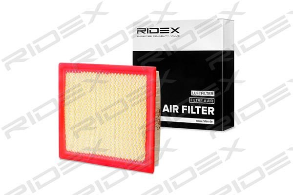 Ridex 8A0301 Filtr powietrza 8A0301: Dobra cena w Polsce na 2407.PL - Kup Teraz!