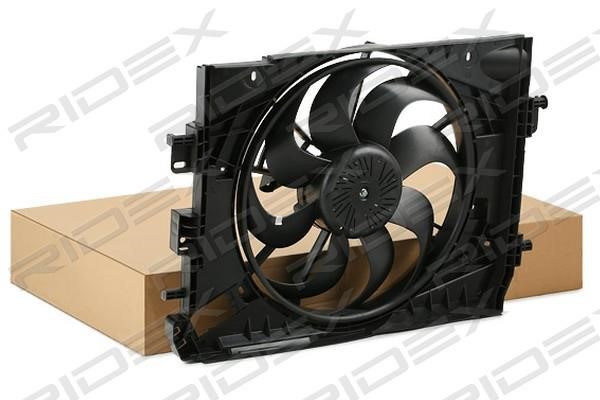 Ridex 508R0206 Hub, engine cooling fan wheel 508R0206: Buy near me in Poland at 2407.PL - Good price!
