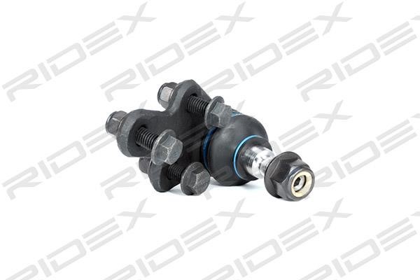 Ridex 2462S0131 Ball joint 2462S0131: Buy near me in Poland at 2407.PL - Good price!