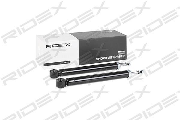 Ridex 854S1734 Rear oil and gas suspension shock absorber 854S1734: Buy near me in Poland at 2407.PL - Good price!