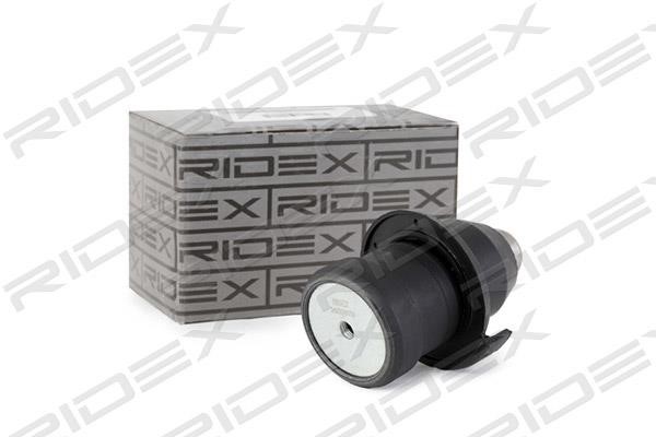 Ridex 2462S0158 Ball joint 2462S0158: Buy near me in Poland at 2407.PL - Good price!