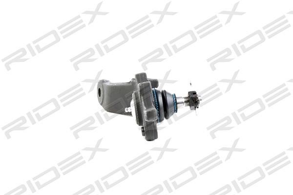 Ridex 2462S0207 Ball joint 2462S0207: Buy near me at 2407.PL in Poland at an Affordable price!