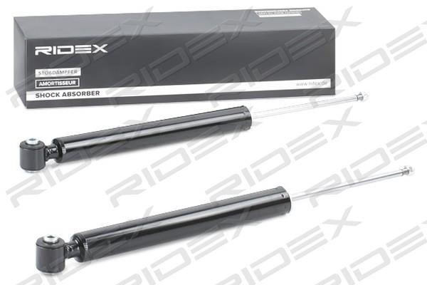 Ridex 854S2176 Rear oil and gas suspension shock absorber 854S2176: Buy near me in Poland at 2407.PL - Good price!
