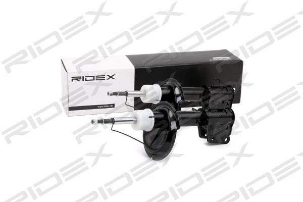 Ridex 854S2225 Front oil and gas suspension shock absorber 854S2225: Buy near me in Poland at 2407.PL - Good price!