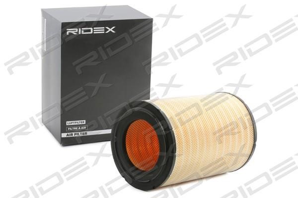 Ridex 8A1144 Filtr powietrza 8A1144: Dobra cena w Polsce na 2407.PL - Kup Teraz!