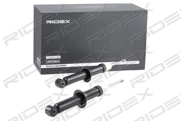 Ridex 854S1738 Rear oil and gas suspension shock absorber 854S1738: Buy near me in Poland at 2407.PL - Good price!