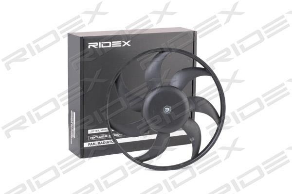 Ridex 508R0038 Вентилятор радиатора охлаждения 508R0038: Отличная цена - Купить в Польше на 2407.PL!