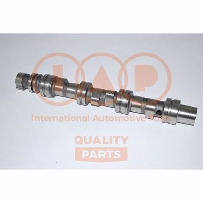 IAP 124-20061G Camshaft 12420061G: Buy near me at 2407.PL in Poland at an Affordable price!
