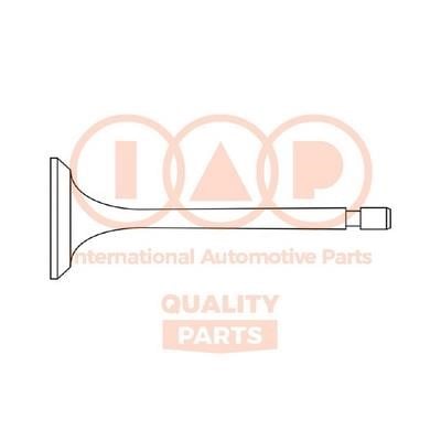 IAP 110-11055 Intake valve 11011055: Buy near me in Poland at 2407.PL - Good price!