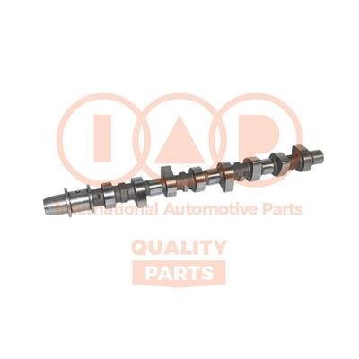 IAP 124-17060 Camshaft 12417060: Buy near me in Poland at 2407.PL - Good price!