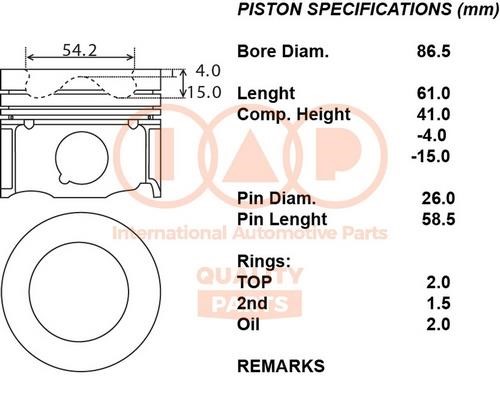 IAP 100-11111 Piston 10011111: Buy near me in Poland at 2407.PL - Good price!
