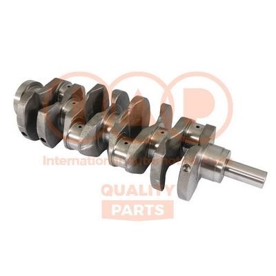 IAP 126-13148E Crankshaft 12613148E: Buy near me at 2407.PL in Poland at an Affordable price!