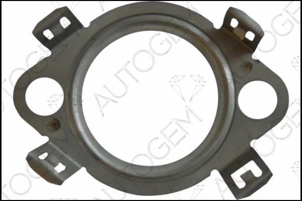 AutoGem CEG4217 Seal, EGR valve CEG4217: Buy near me in Poland at 2407.PL - Good price!