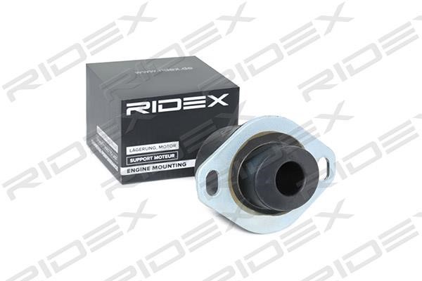Ridex 247E0066 Engine mount 247E0066: Buy near me in Poland at 2407.PL - Good price!