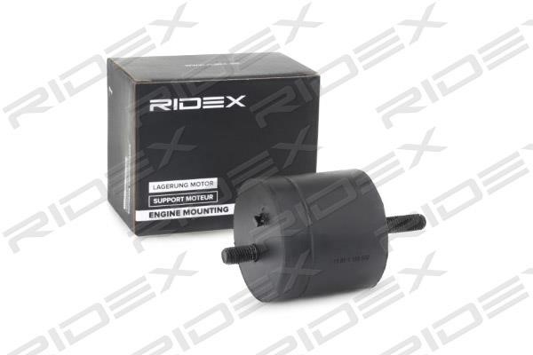 Ridex 247E0199 Engine mount 247E0199: Buy near me in Poland at 2407.PL - Good price!