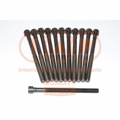 IAP 119-18030G Cylinder Head Bolts Kit 11918030G: Buy near me in Poland at 2407.PL - Good price!