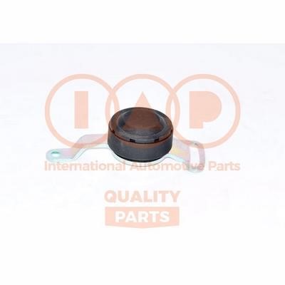 IAP 127-00101 Deflection/guide pulley, v-ribbed belt 12700101: Buy near me in Poland at 2407.PL - Good price!