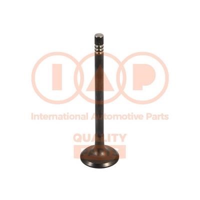IAP 110-07064G Intake valve 11007064G: Buy near me in Poland at 2407.PL - Good price!
