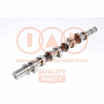 IAP 124-13096 Camshaft 12413096: Buy near me in Poland at 2407.PL - Good price!